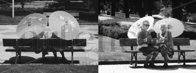 Primavera japonesa en Europa (Díptico bw)
