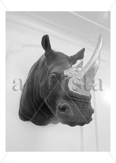 Rino