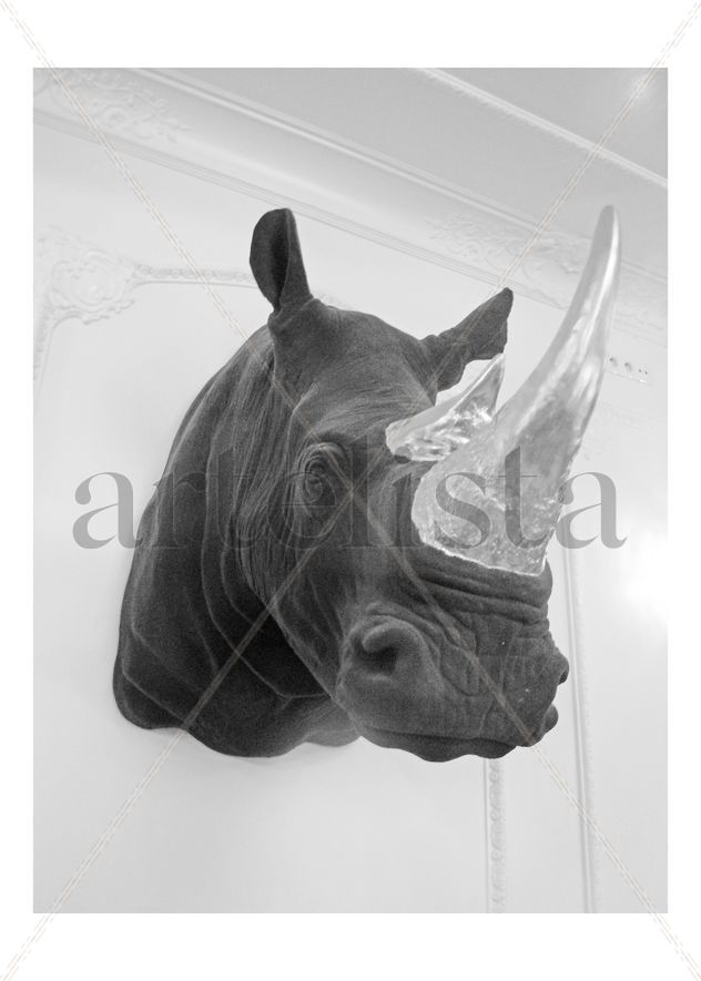 Rino