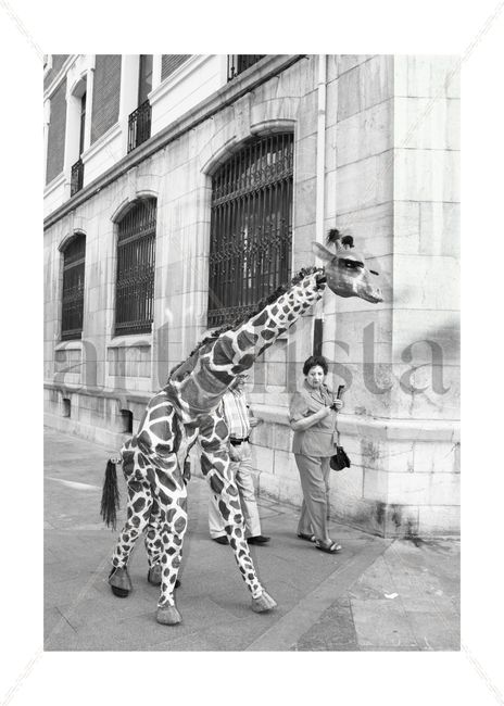 Jirafas en la ciudad 6