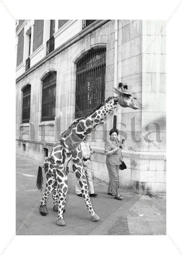 Jirafas en la ciudad 6