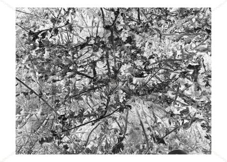 Negative