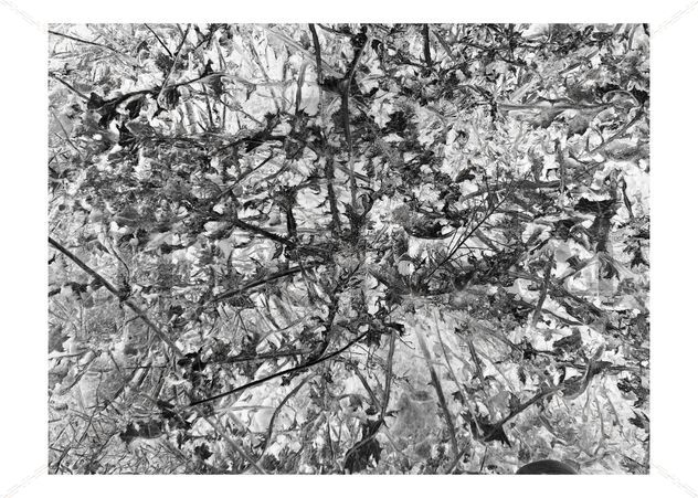Negative