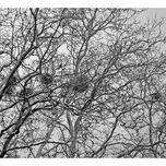 Abstracciones,distorsiones... thumbnail 2