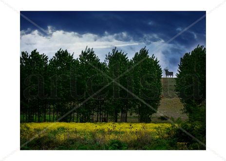Spring in Spain