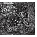 Abstracciones,distorsiones... thumbnail 1