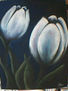 tulipanes blancos