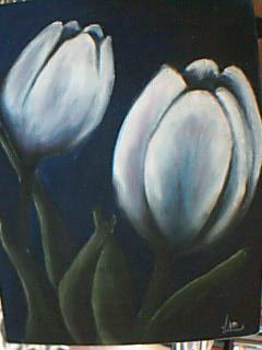 Tulipanes blancos