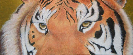 Mirada de tigre