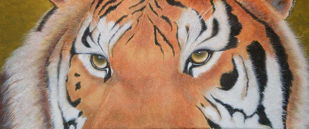 Mirada de tigre
