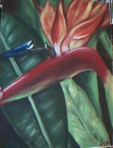 Flor pajaro