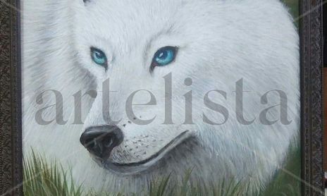 WILD LIFE