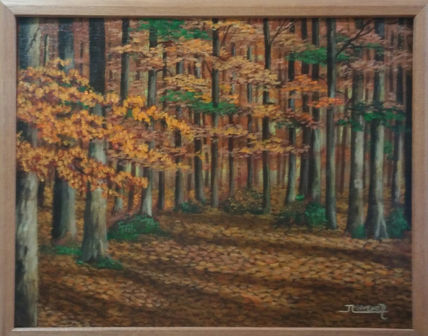 Walk in the woods