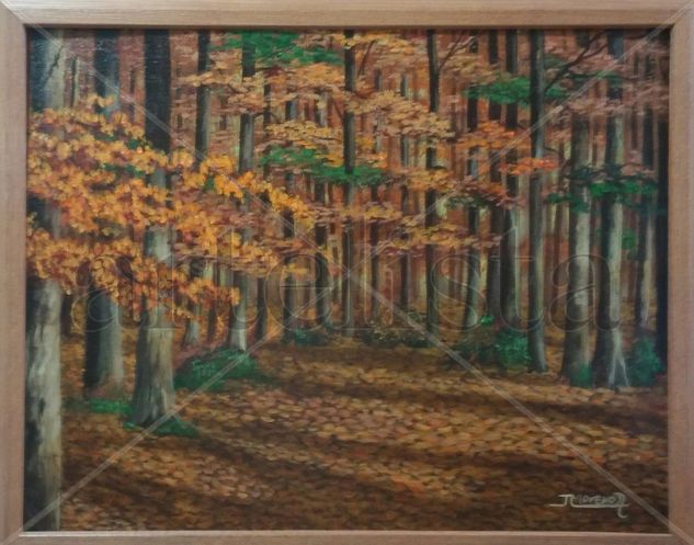 WALK IN THE WOODS Acrylic Canvas Landscaping