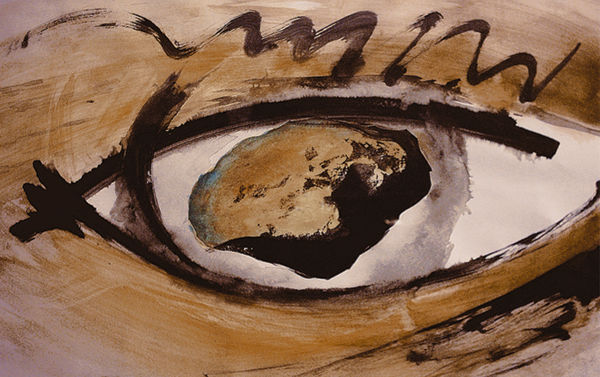 piedra en el ojo