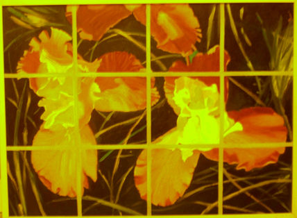 Fragmentos de Flores