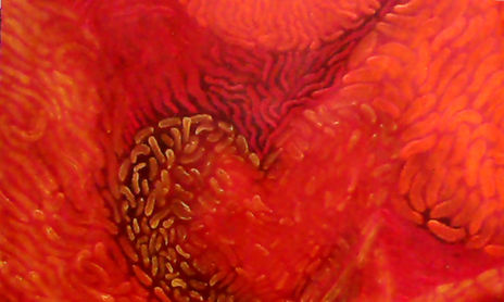 Abstractos