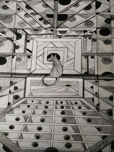 Solo un Gato