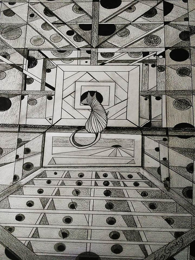 Solo un Gato
