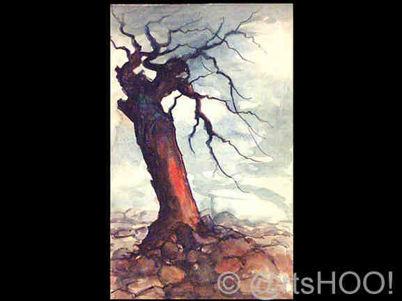 Árbol Caído
