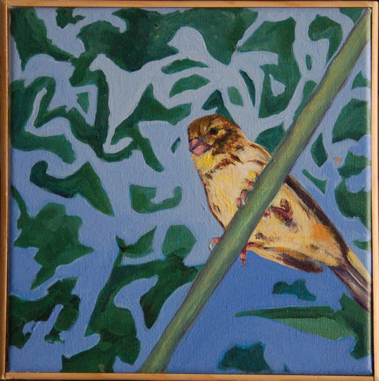 Canario 3 Acrylic Canvas Animals