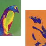 Animales thumbnail 2