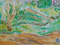 Paisaje espontáneo