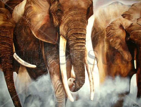 Tons of elephants