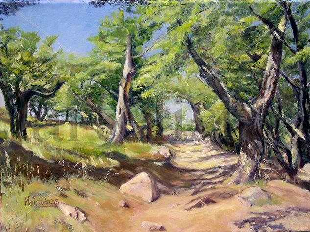 Sendero al Torres Oil Canvas Landscaping