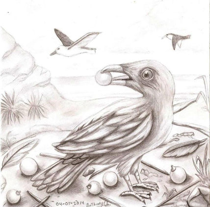 Bird