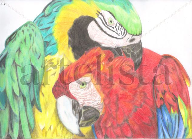 Guacamayas Pencil