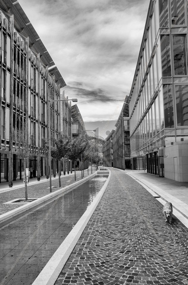 SERGIO BATTISTA - Solitude in Trento