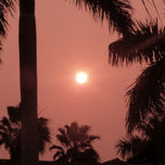fotografia thumbnail 2