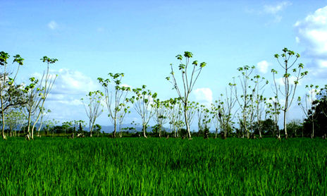 Paisaje