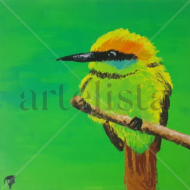 pájaro colorido