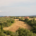 Fotografía thumbnail 1