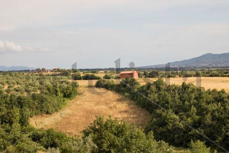 Horizontes 2
