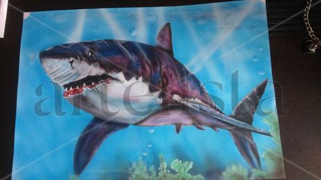 Shark