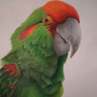 obra