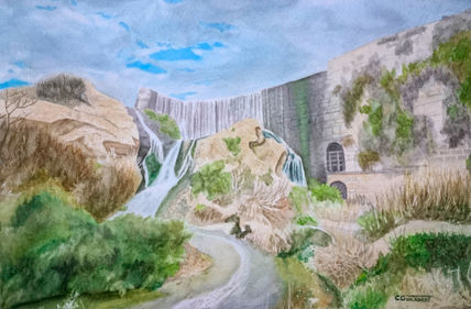 Pantano de Elche