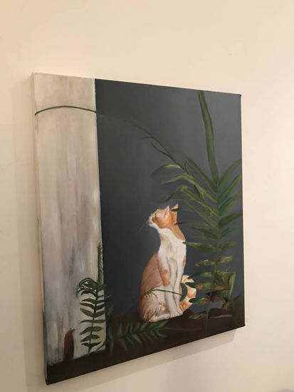 Chat Oil Canvas Animals