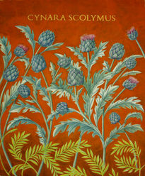 Cynara Scolymus