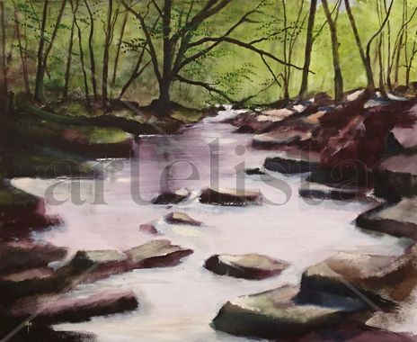 Woodland Stream