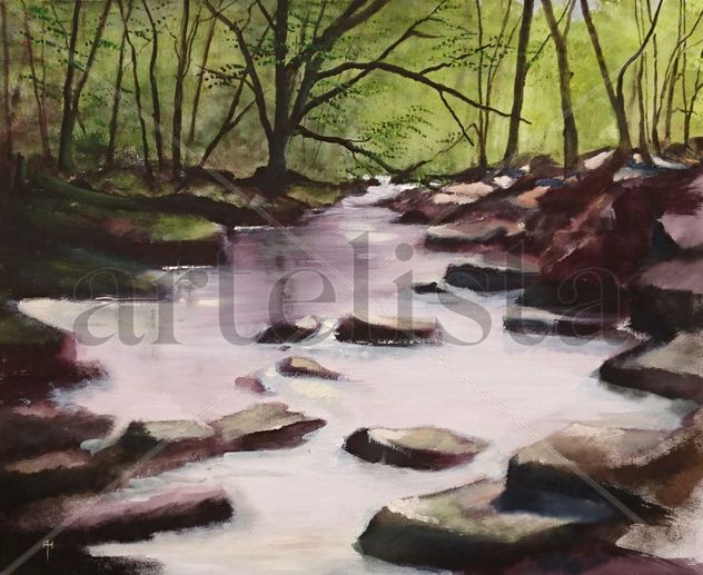 Woodland Stream