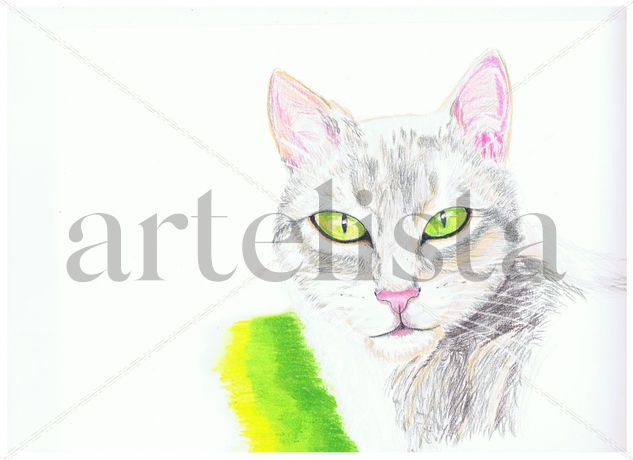 Gato de Ojos Verdes Pencil