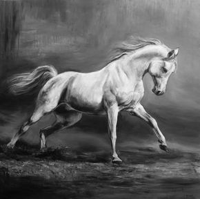 Caballo y La Libertad