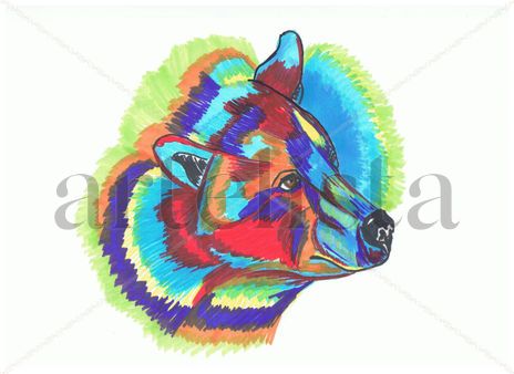 Oso Multicolor