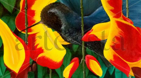 Colibrí
