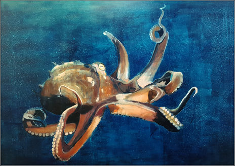 Pulpo