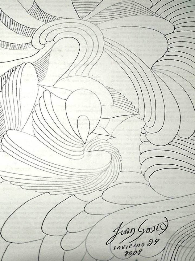 INVIERNO 29